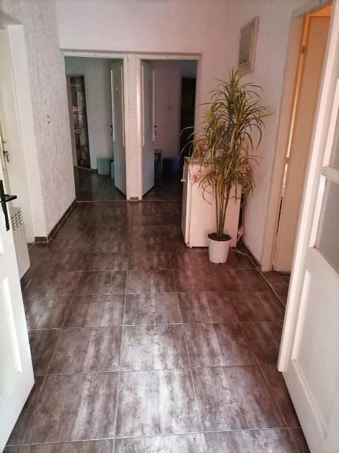 Smestaj U Okviru Domacinstva Sobe Sosa Palić Exterior foto