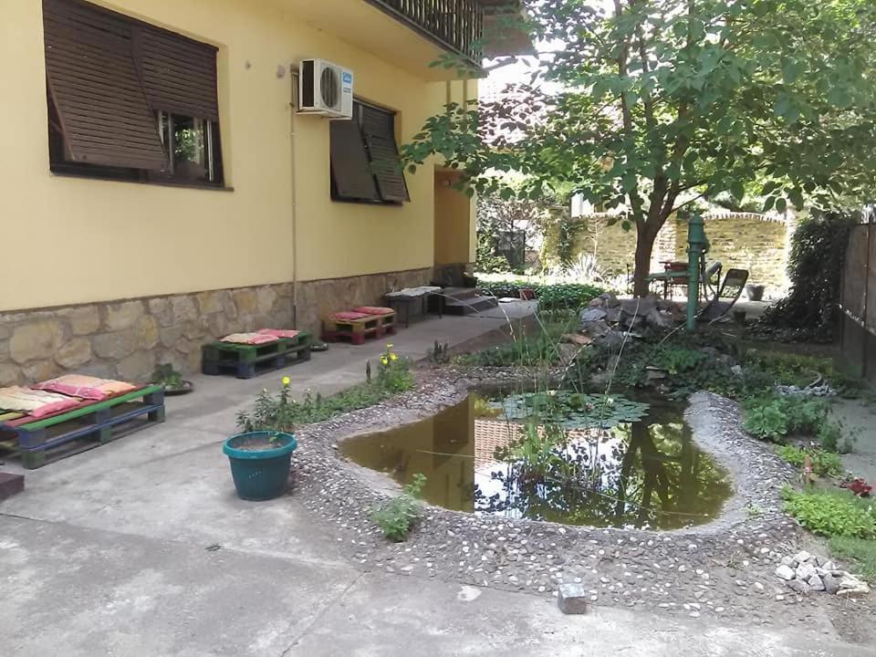 Smestaj U Okviru Domacinstva Sobe Sosa Palić Exterior foto